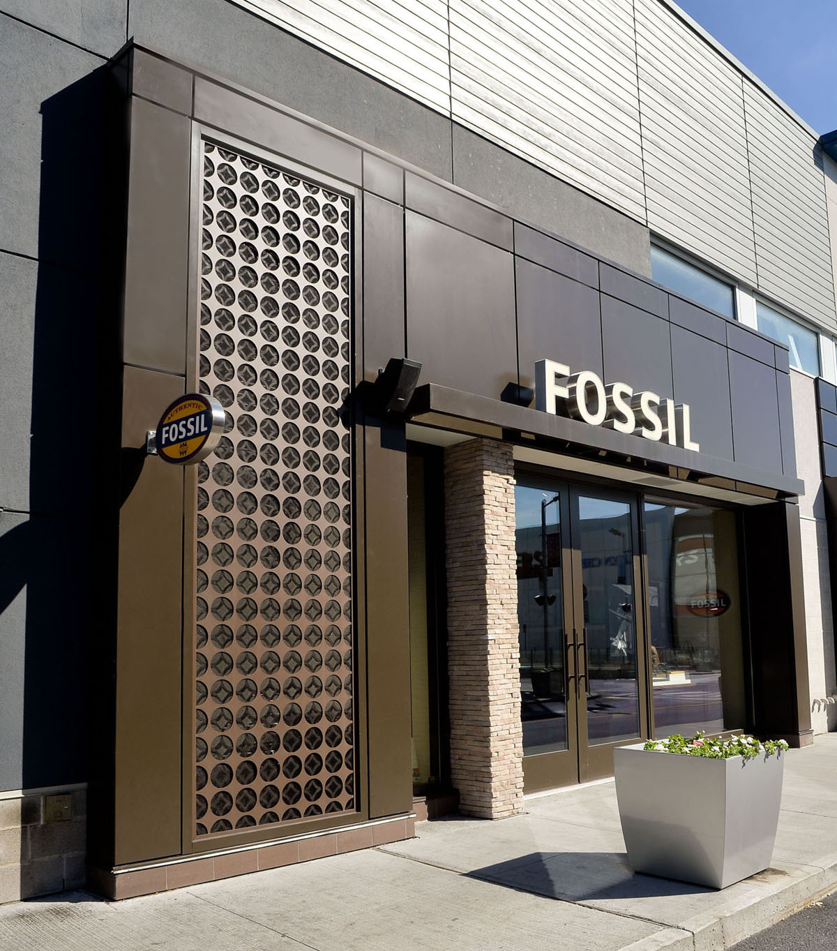 Fossil11